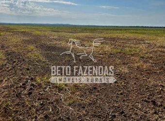 Área Agrícola Extensa e Produtiva à Venda 2.190 hectares | Serra Nova Dourada/MT