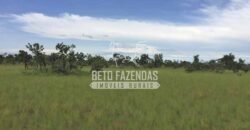 Gigante Fazenda Pecuária à Venda 83.346 hectares | São Félix do Araguaia/MT