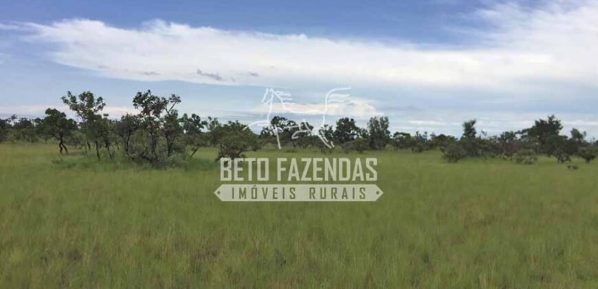 Gigante Fazenda Pecuária à Venda 83.346 hectares | São Félix do Araguaia/MT