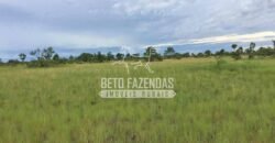 Gigante Fazenda Pecuária à Venda 83.346 hectares | São Félix do Araguaia/MT