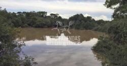 Gigante Fazenda Pecuária à Venda 83.346 hectares | São Félix do Araguaia/MT