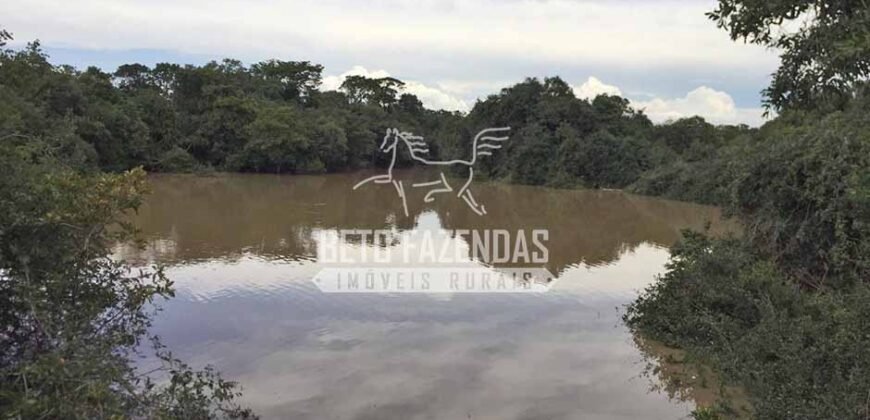 Gigante Fazenda Pecuária à Venda 83.346 hectares | São Félix do Araguaia/MT