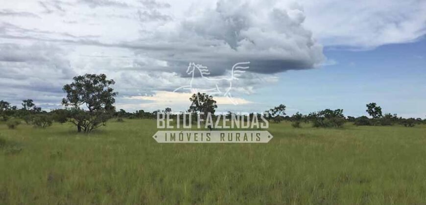 Gigante Fazenda Pecuária à Venda 83.346 hectares | São Félix do Araguaia/MT
