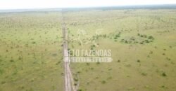 Gigante Fazenda Pecuária à Venda 83.346 hectares | São Félix do Araguaia/MT
