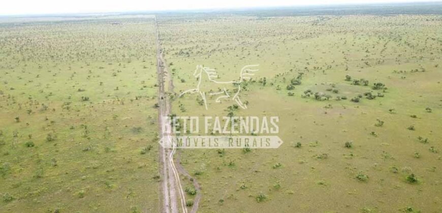 Gigante Fazenda Pecuária à Venda 83.346 hectares | São Félix do Araguaia/MT