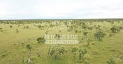 Gigante Fazenda Pecuária à Venda 83.346 hectares | São Félix do Araguaia/MT