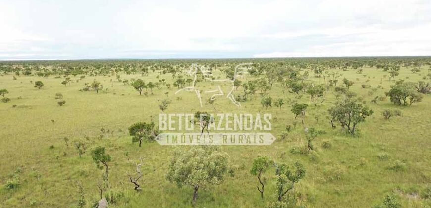 Gigante Fazenda Pecuária à Venda 83.346 hectares | São Félix do Araguaia/MT