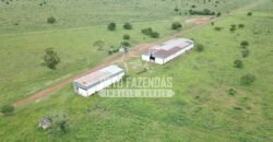 Gigante Fazenda Pecuária à Venda 83.346 hectares | São Félix do Araguaia/MT