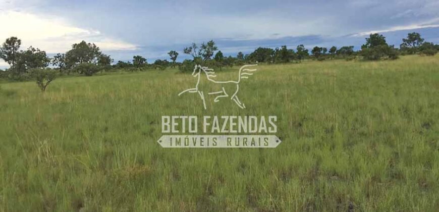 Gigante Fazenda Pecuária à Venda 83.346 hectares | São Félix do Araguaia/MT