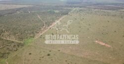 Gigante Fazenda Pecuária à Venda 83.346 hectares | São Félix do Araguaia/MT