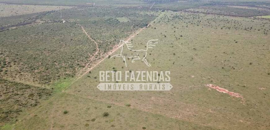 Gigante Fazenda Pecuária à Venda 83.346 hectares | São Félix do Araguaia/MT