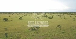 Gigante Fazenda Pecuária à Venda 83.346 hectares | São Félix do Araguaia/MT