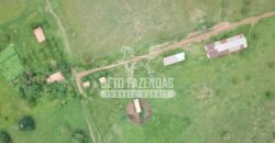 Gigante Fazenda Pecuária à Venda 83.346 hectares | São Félix do Araguaia/MT