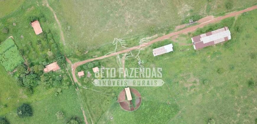 Gigante Fazenda Pecuária à Venda 83.346 hectares | São Félix do Araguaia/MT