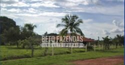 Gigante Fazenda Pecuária à Venda 83.346 hectares | São Félix do Araguaia/MT