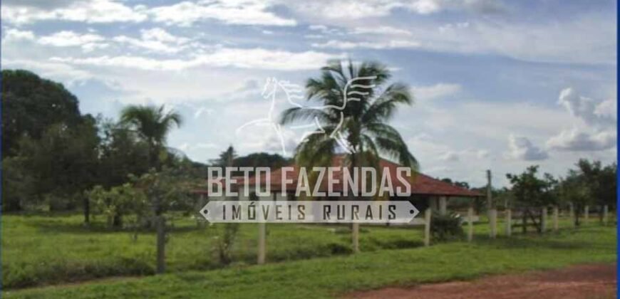 Gigante Fazenda Pecuária à Venda 83.346 hectares | São Félix do Araguaia/MT