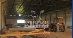 Gigante Fazenda Pecuária à Venda 83.346 hectares | São Félix do Araguaia/MT