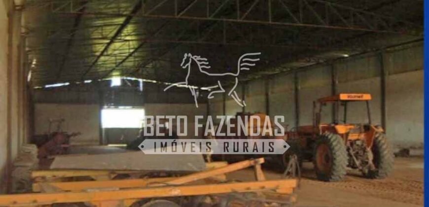 Gigante Fazenda Pecuária à Venda 83.346 hectares | São Félix do Araguaia/MT