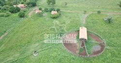 Gigante Fazenda Pecuária à Venda 83.346 hectares | São Félix do Araguaia/MT