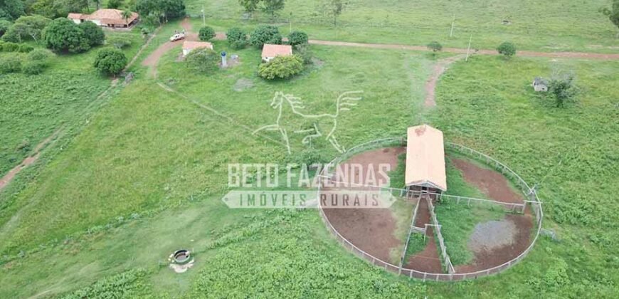 Gigante Fazenda Pecuária à Venda 83.346 hectares | São Félix do Araguaia/MT