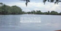 Gigante Fazenda Pecuária à Venda 83.346 hectares | São Félix do Araguaia/MT