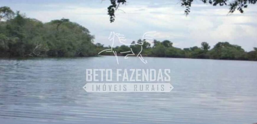 Gigante Fazenda Pecuária à Venda 83.346 hectares | São Félix do Araguaia/MT