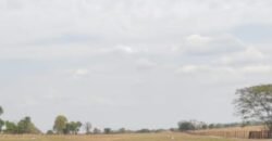 Fazenda à Venda 33.880 Hectares Infraestrutura Completa Linda Casa Sede | Cocalinho/ MT Fazenda à Venda 33.880 Hectares Infraestrutura Completa Linda Casa Sede | Cocalinho/ MT