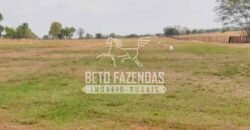 Fazenda à Venda 33.880 Hectares Infraestrutura Completa Linda Casa Sede | Cocalinho/ MT Fazenda à Venda 33.880 Hectares Infraestrutura Completa Linda Casa Sede | Cocalinho/ MT