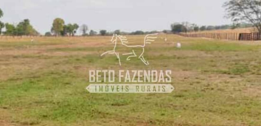 Fazenda à Venda 33.880 Hectares Infraestrutura Completa Linda Casa Sede | Cocalinho/ MT Fazenda à Venda 33.880 Hectares Infraestrutura Completa Linda Casa Sede | Cocalinho/ MT