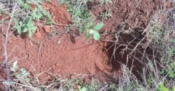 Fazenda à Venda 33.880 Hectares Infraestrutura Completa Linda Casa Sede | Cocalinho/ MT Fazenda à Venda 33.880 Hectares Infraestrutura Completa Linda Casa Sede | Cocalinho/ MT