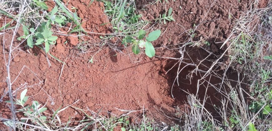 Fazenda à Venda 33.880 Hectares Infraestrutura Completa Linda Casa Sede | Cocalinho/ MT Fazenda à Venda 33.880 Hectares Infraestrutura Completa Linda Casa Sede | Cocalinho/ MT