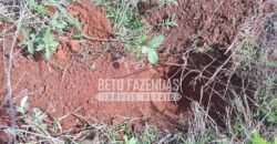 Fazenda à Venda 33.880 Hectares Infraestrutura Completa Linda Casa Sede | Cocalinho/ MT Fazenda à Venda 33.880 Hectares Infraestrutura Completa Linda Casa Sede | Cocalinho/ MT