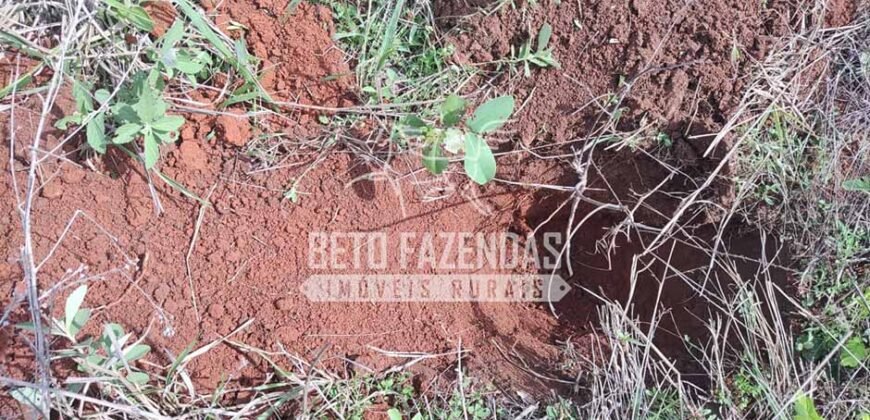 Fazenda à Venda 33.880 Hectares Infraestrutura Completa Linda Casa Sede | Cocalinho/ MT Fazenda à Venda 33.880 Hectares Infraestrutura Completa Linda Casa Sede | Cocalinho/ MT