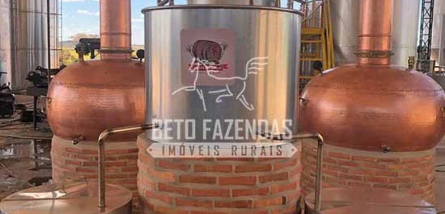 Fazenda 277 Hectares à Venda Cana de Açúcar | Varjão de Minas/MG Fazenda 277 Hectares à Venda Cana de Açúcar | Varjão de Minas/MG