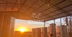 Fazenda 277 Hectares à Venda Cana de Açúcar | Varjão de Minas/MG Fazenda 277 Hectares à Venda Cana de Açúcar | Varjão de Minas/MG