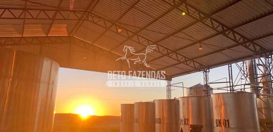 Fazenda 277 Hectares à Venda Cana de Açúcar | Varjão de Minas/MG Fazenda 277 Hectares à Venda Cana de Açúcar | Varjão de Minas/MG