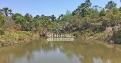 Fazenda 277 Hectares à Venda Cana de Açúcar | Varjão de Minas/MG Fazenda 277 Hectares à Venda Cana de Açúcar | Varjão de Minas/MG