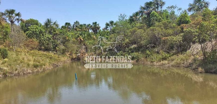 Fazenda 277 Hectares à Venda Cana de Açúcar | Varjão de Minas/MG Fazenda 277 Hectares à Venda Cana de Açúcar | Varjão de Minas/MG