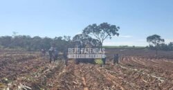 Fazenda 277 Hectares à Venda Cana de Açúcar | Varjão de Minas/MG Fazenda 277 Hectares à Venda Cana de Açúcar | Varjão de Minas/MG
