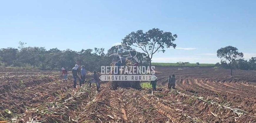 Fazenda 277 Hectares à Venda Cana de Açúcar | Varjão de Minas/MG Fazenda 277 Hectares à Venda Cana de Açúcar | Varjão de Minas/MG