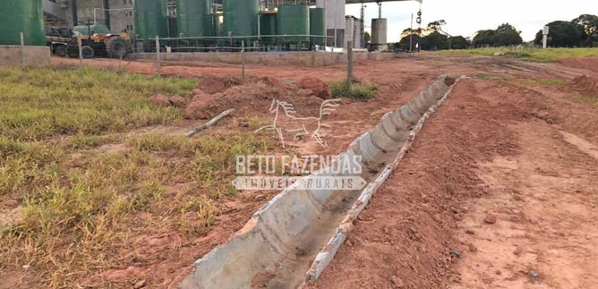 Fazenda 277 Hectares à Venda Cana de Açúcar | Varjão de Minas/MG Fazenda 277 Hectares à Venda Cana de Açúcar | Varjão de Minas/MG