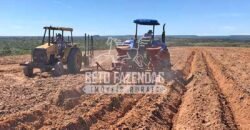 Fazenda 277 Hectares à Venda Cana de Açúcar | Varjão de Minas/MG Fazenda 277 Hectares à Venda Cana de Açúcar | Varjão de Minas/MG