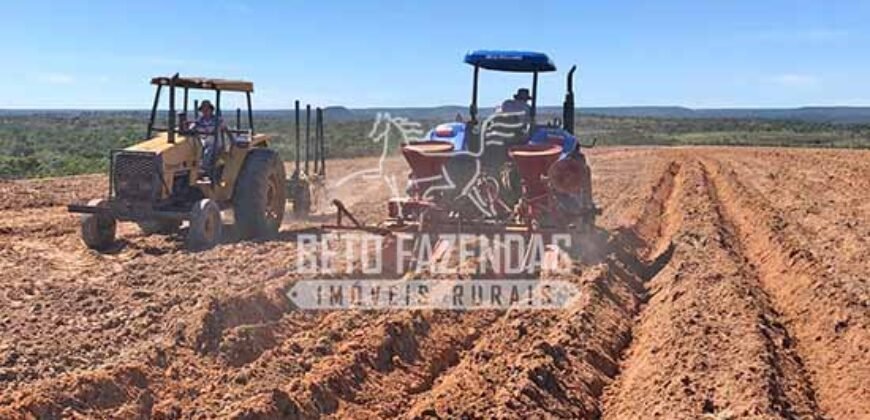 Fazenda 277 Hectares à Venda Cana de Açúcar | Varjão de Minas/MG Fazenda 277 Hectares à Venda Cana de Açúcar | Varjão de Minas/MG