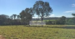 Fazenda 277 Hectares à Venda Cana de Açúcar | Varjão de Minas/MG Fazenda 277 Hectares à Venda Cana de Açúcar | Varjão de Minas/MG