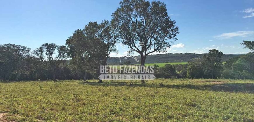 Fazenda 277 Hectares à Venda Cana de Açúcar | Varjão de Minas/MG Fazenda 277 Hectares à Venda Cana de Açúcar | Varjão de Minas/MG