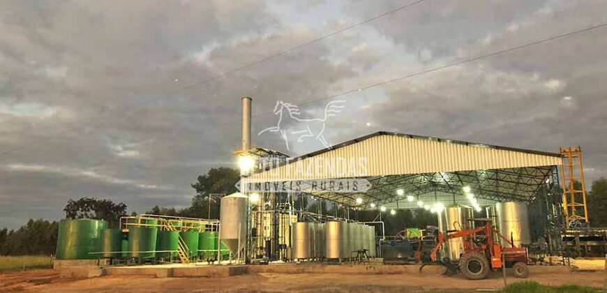 Fazenda 277 Hectares à Venda Cana de Açúcar | Varjão de Minas/MG Fazenda 277 Hectares à Venda Cana de Açúcar | Varjão de Minas/MG