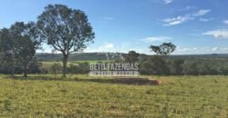 Fazenda 277 Hectares à Venda Cana de Açúcar | Varjão de Minas/MG Fazenda 277 Hectares à Venda Cana de Açúcar | Varjão de Minas/MG