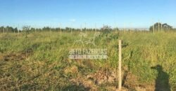 Fazenda 277 Hectares à Venda Cana de Açúcar | Varjão de Minas/MG Fazenda 277 Hectares à Venda Cana de Açúcar | Varjão de Minas/MG