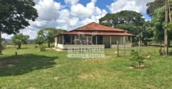 Fazenda 277 Hectares à Venda Cana de Açúcar | Varjão de Minas/MG Fazenda 277 Hectares à Venda Cana de Açúcar | Varjão de Minas/MG