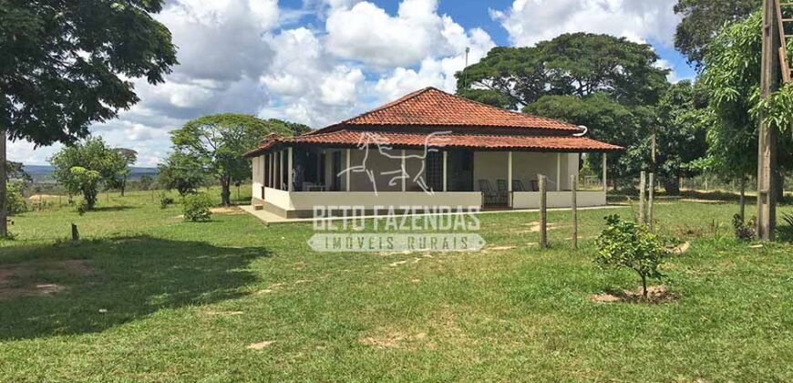 Fazenda 277 Hectares à Venda Cana de Açúcar | Varjão de Minas/MG Fazenda 277 Hectares à Venda Cana de Açúcar | Varjão de Minas/MG